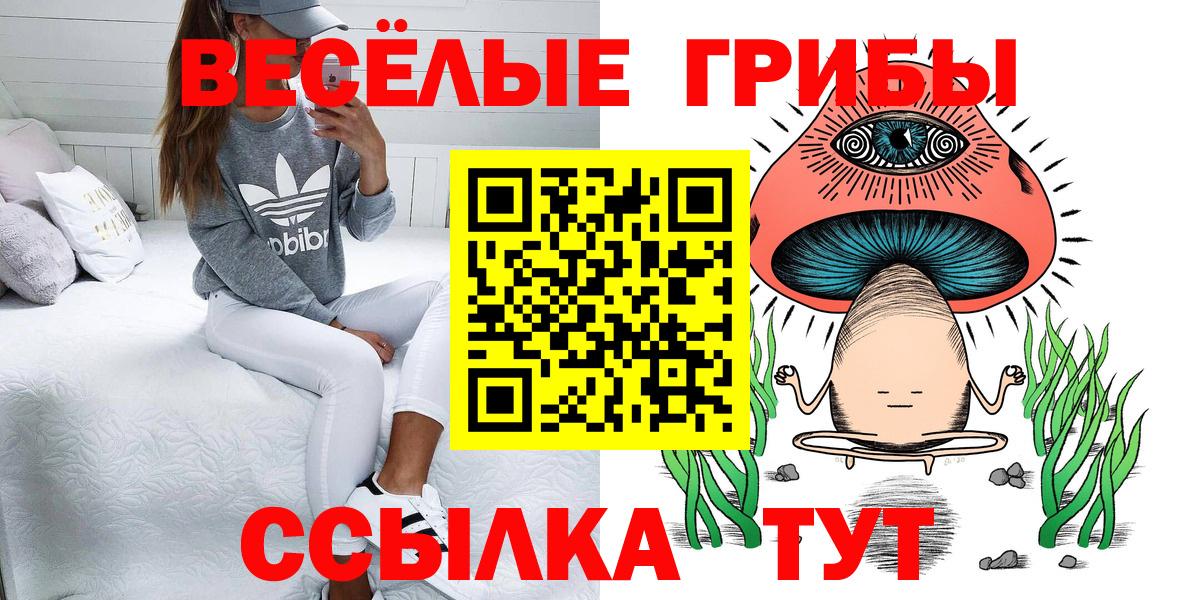 Псилоцибиновые грибы ЛСД  Вход с VPN  Рязань  Галлюциногенные грибы мицелий 