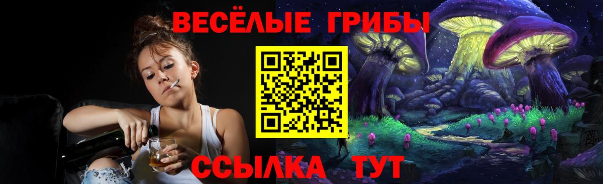 Псилоцибиновые грибы прущие грибы Рязань